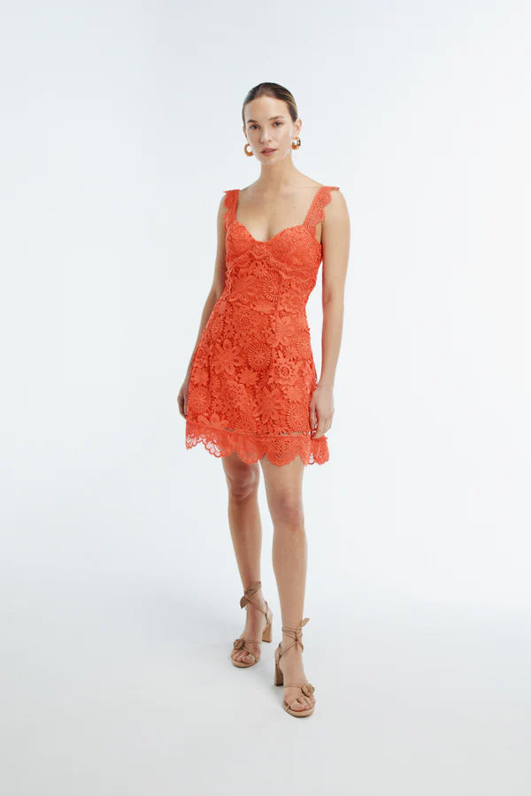 TRINA MINI DRESS