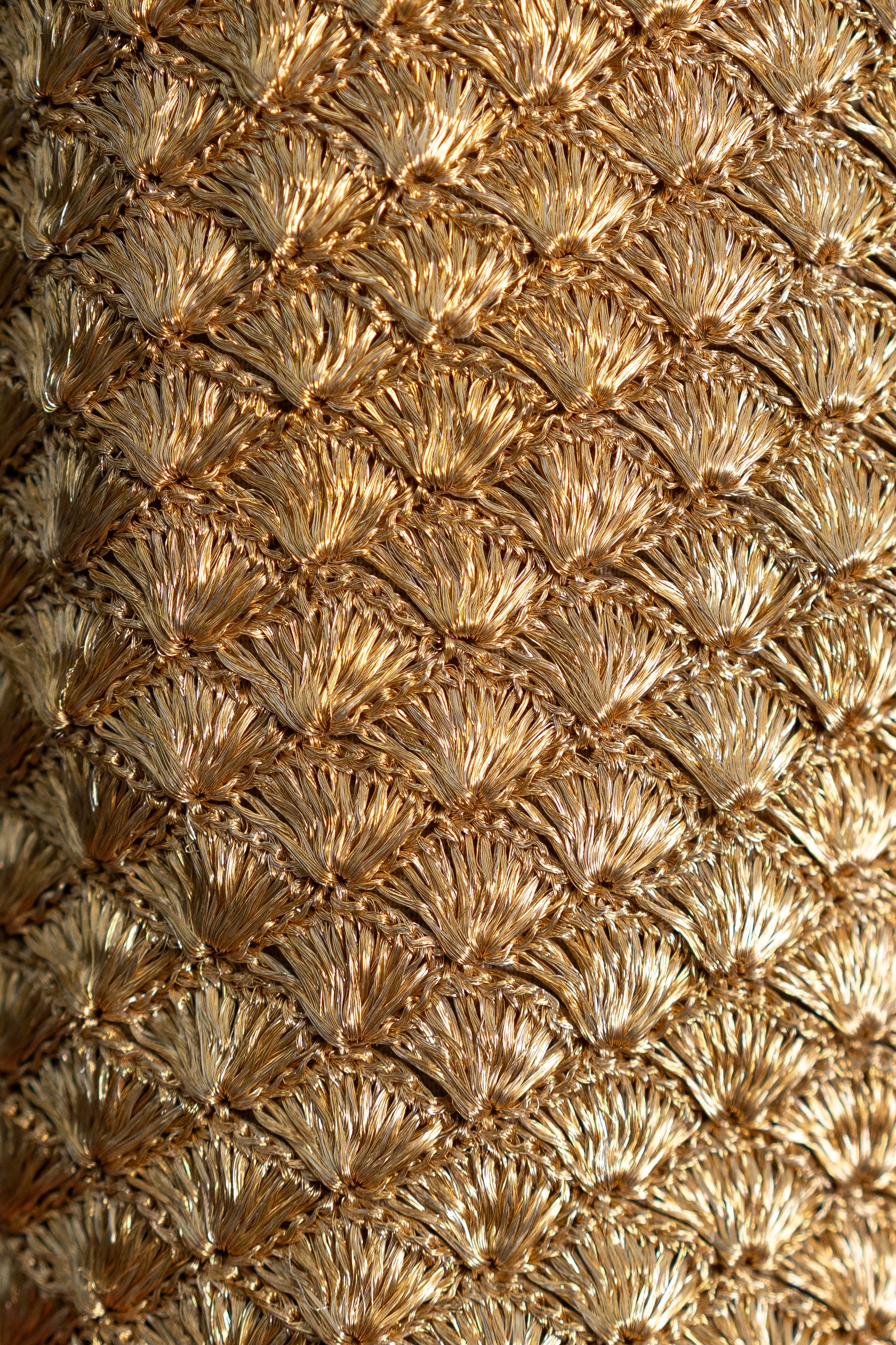 SEASHELL ORO